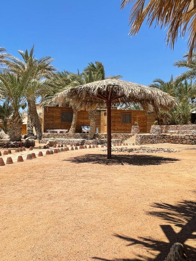 Dolphin Camp Hotel Dahab Exterior foto