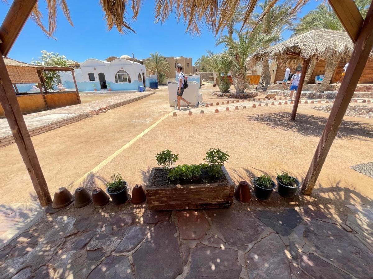 Dolphin Camp Hotel Dahab Exterior foto