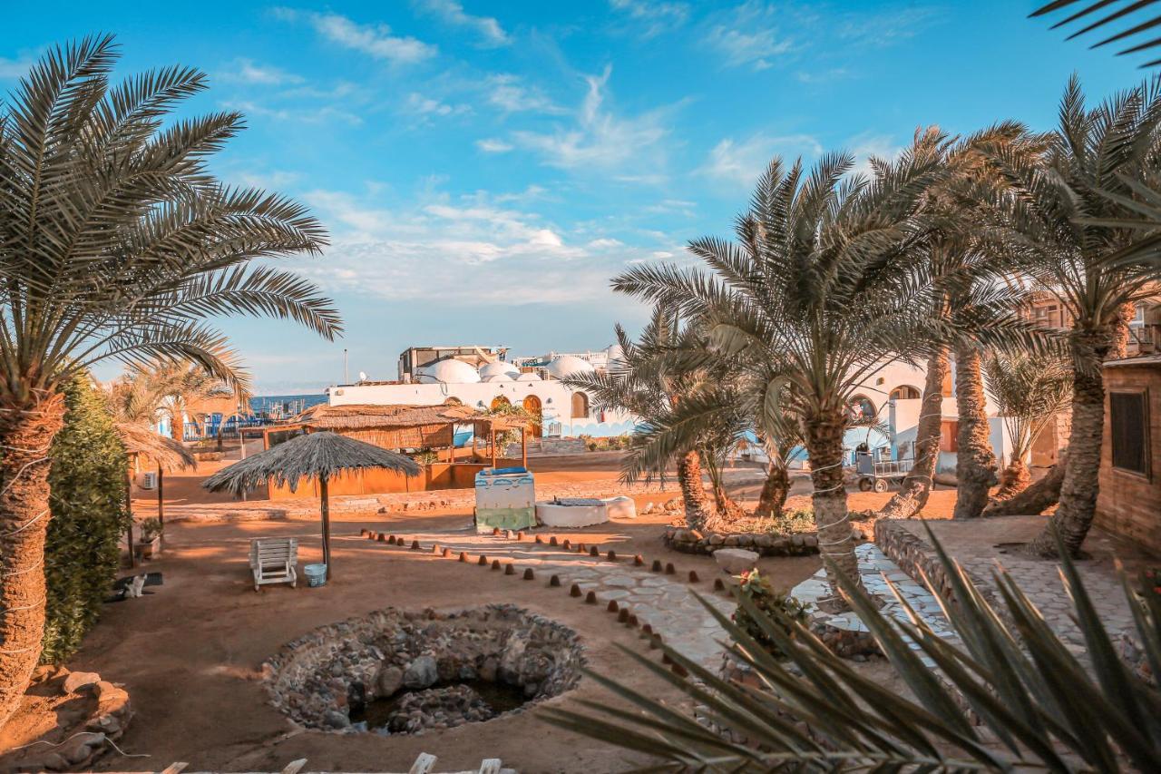Dolphin Camp Hotel Dahab Exterior foto